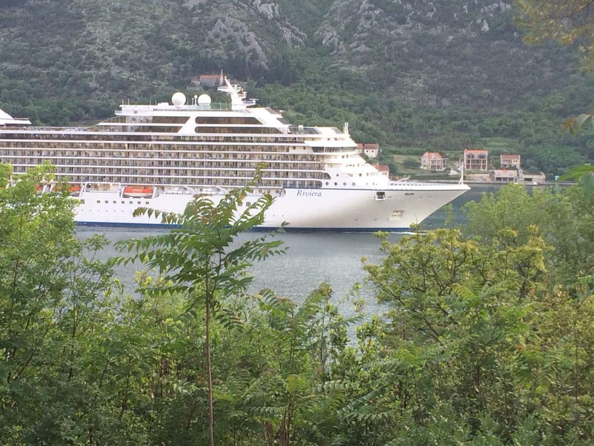 Jeff 1 Apartman Kotor